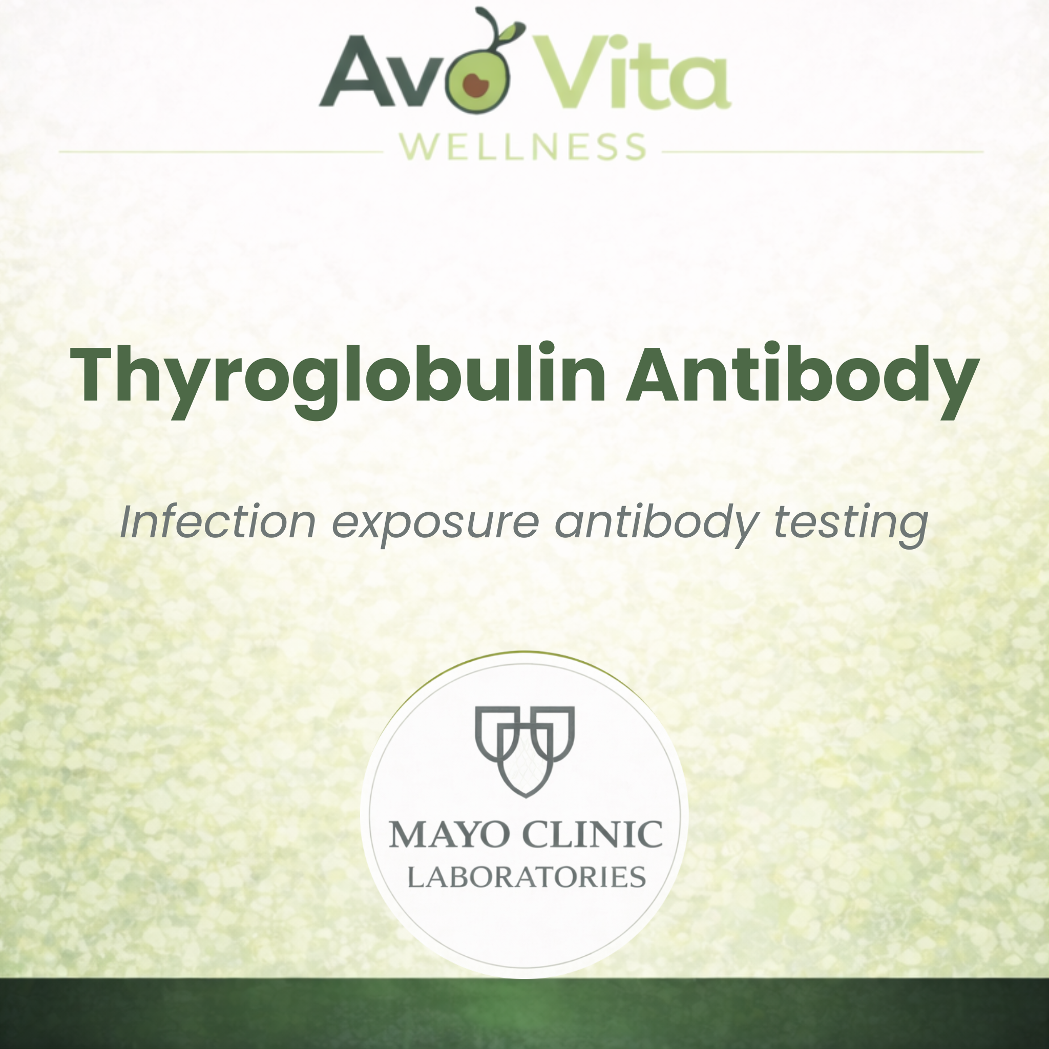 Thyroglobulin Antibody