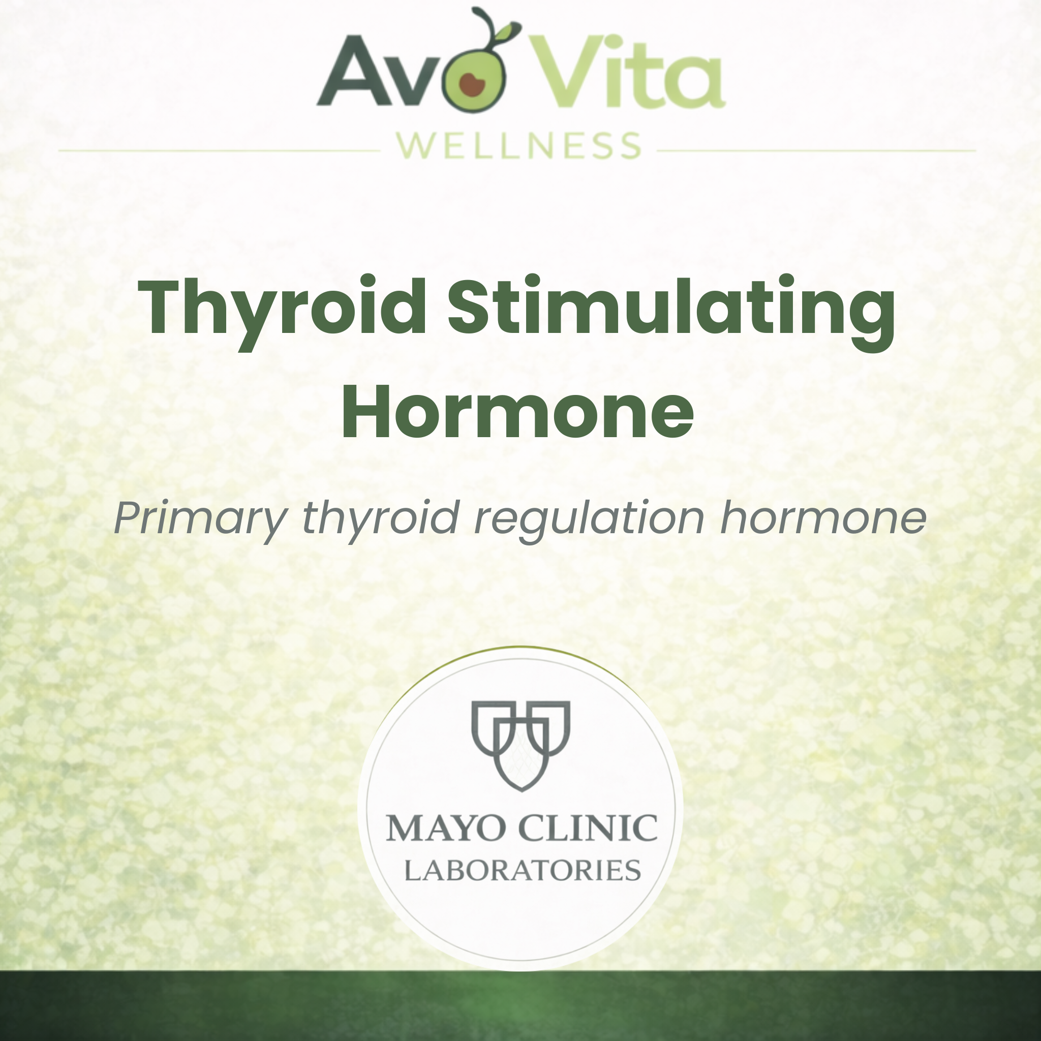 Thyroid Stimulating Hormone