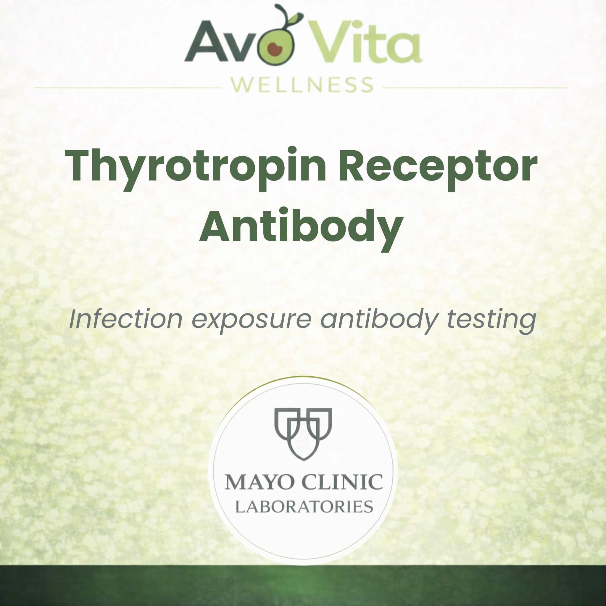 Thyrotropin Receptor Antibody