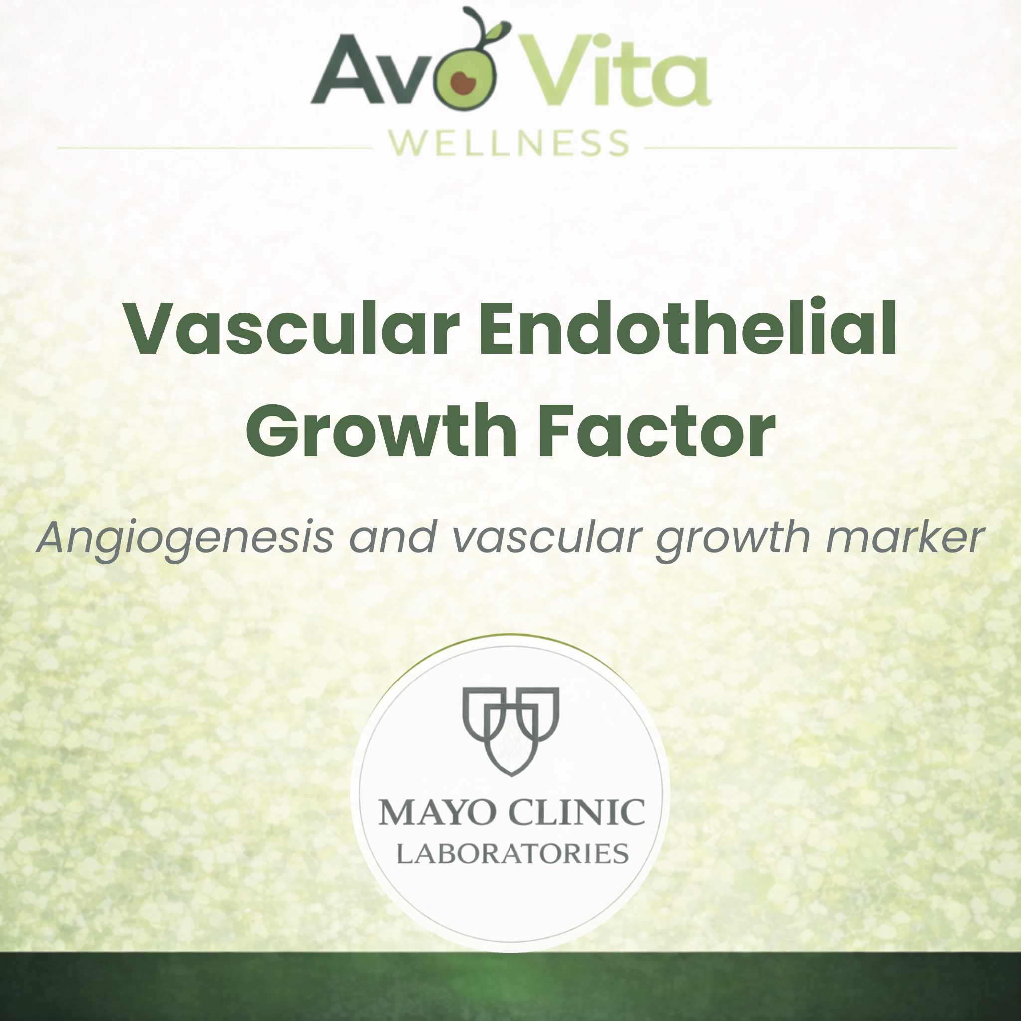 Vascular Endothelial Growth Factor