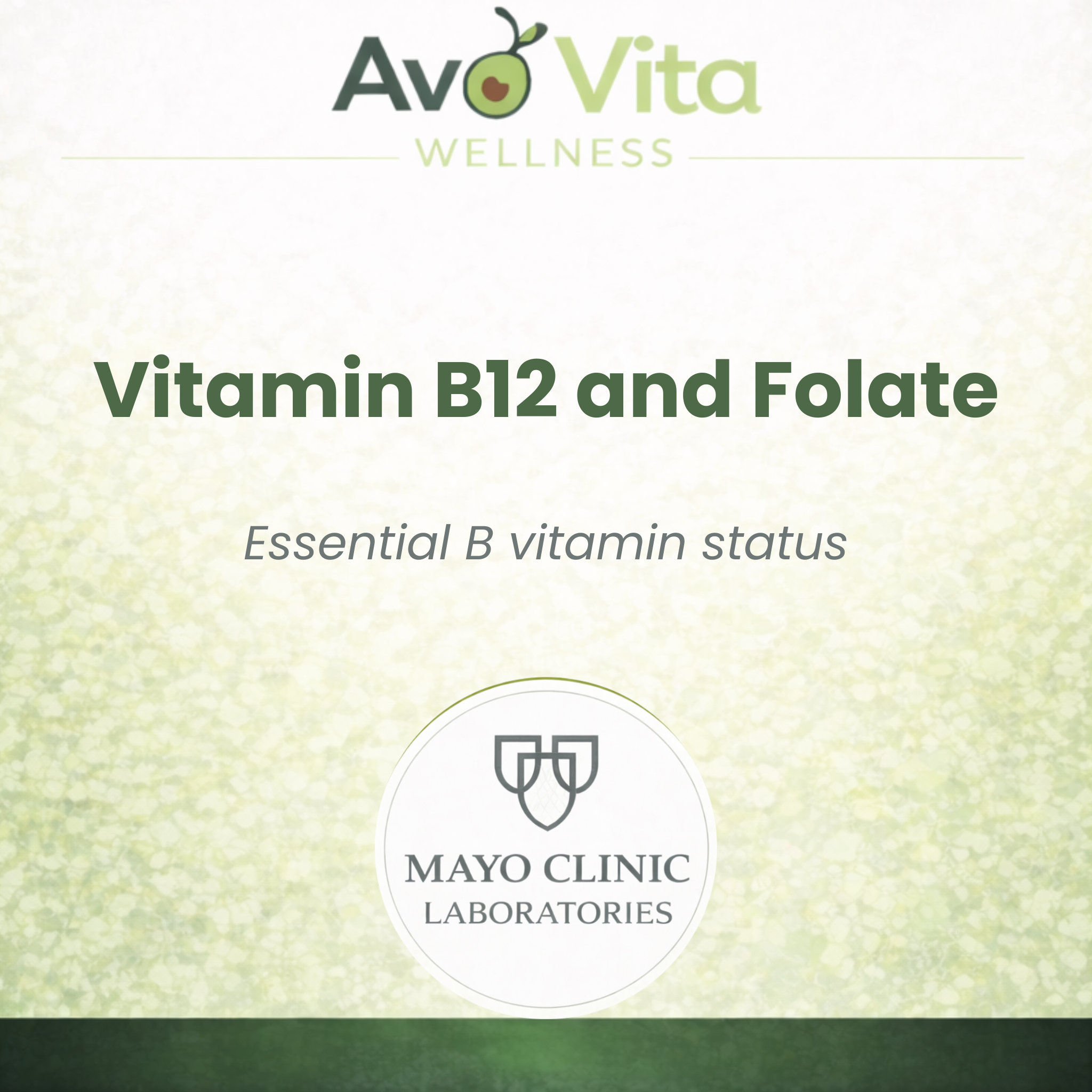 Vitamin B12 and Folate (Fasted Test)