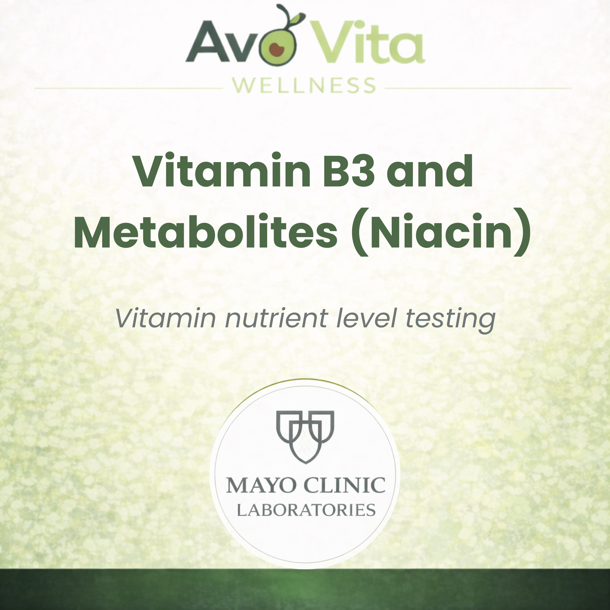 Vitamin B3 and Metabolites (Fasted Test)