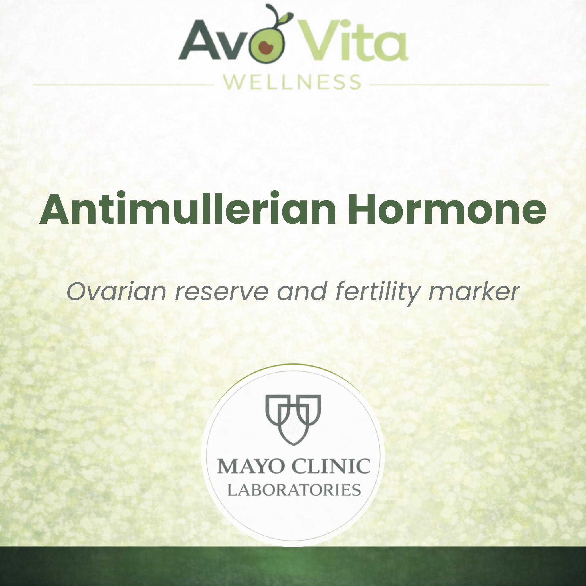 Antimullerian Hormone