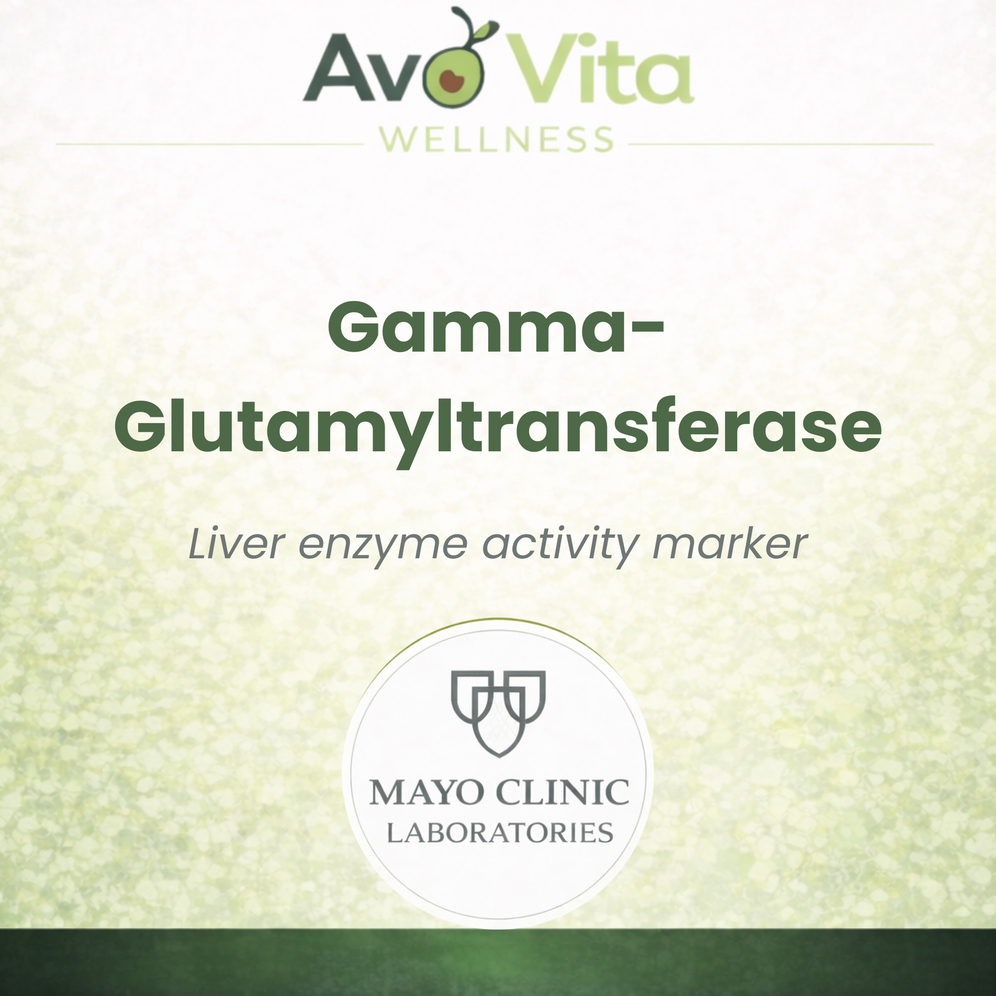 Gamma-Glutamyltransferase