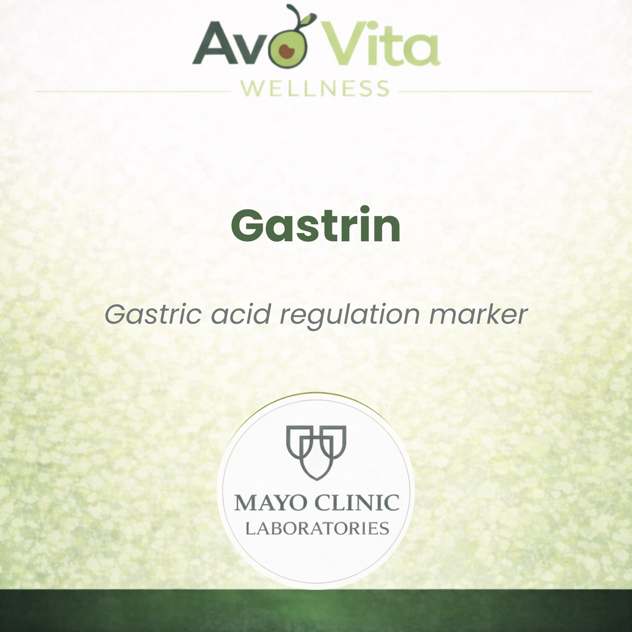 Gastrin (Fasted Test)