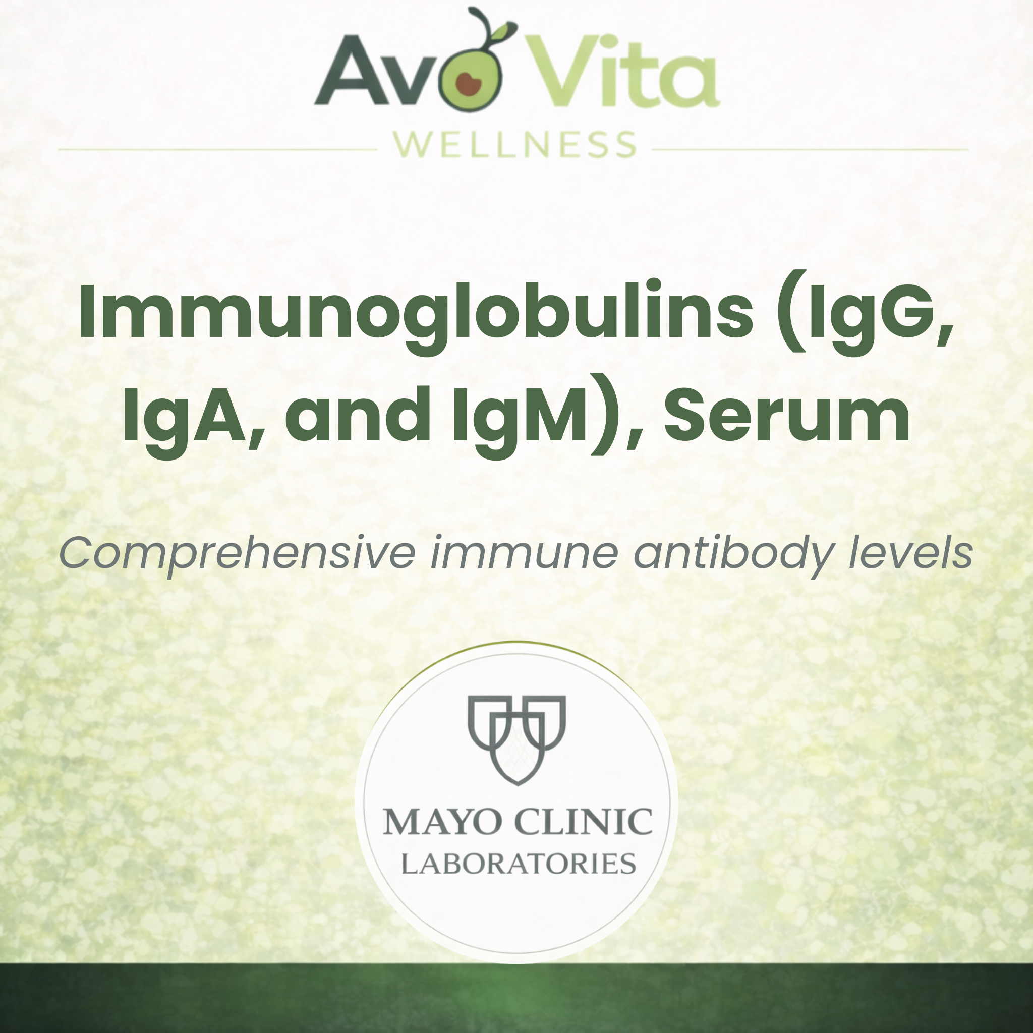 Immunoglobulins (IgG, IgA, and IgM)