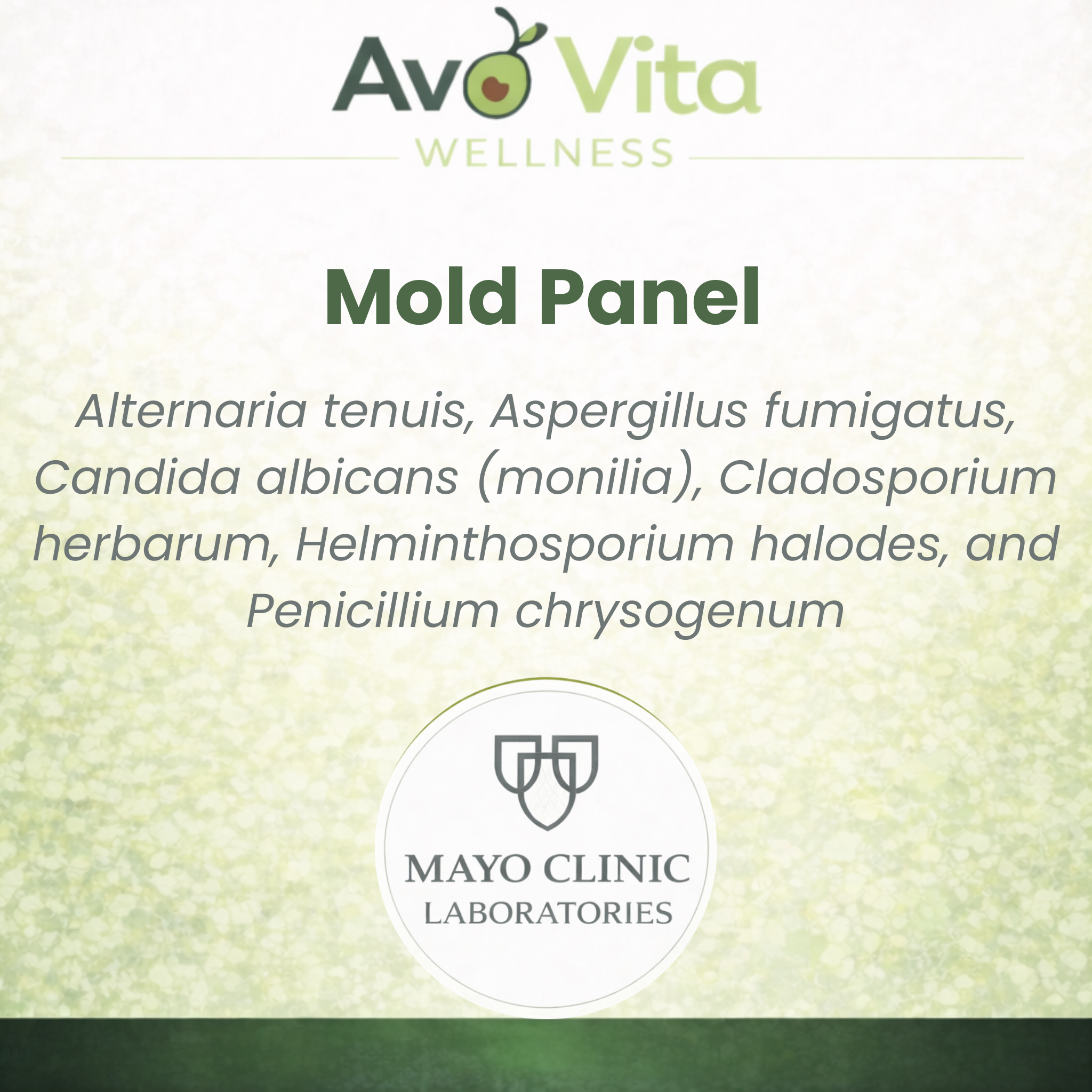 Mold Panel