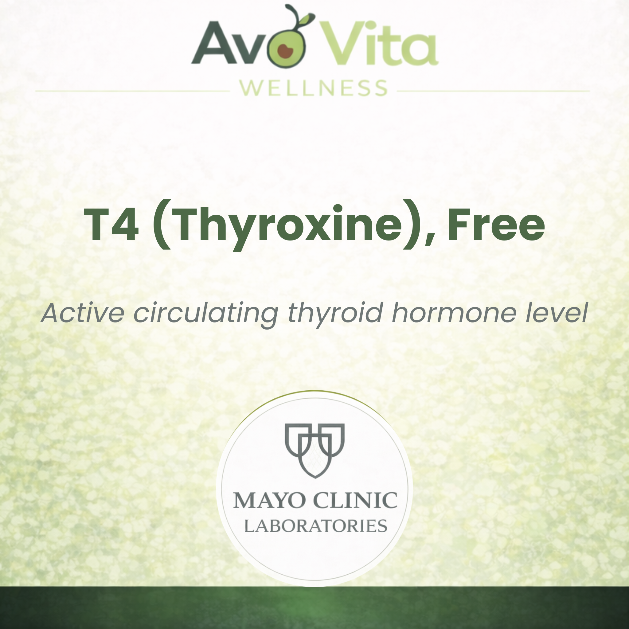 T4 (Thyroxine), Free