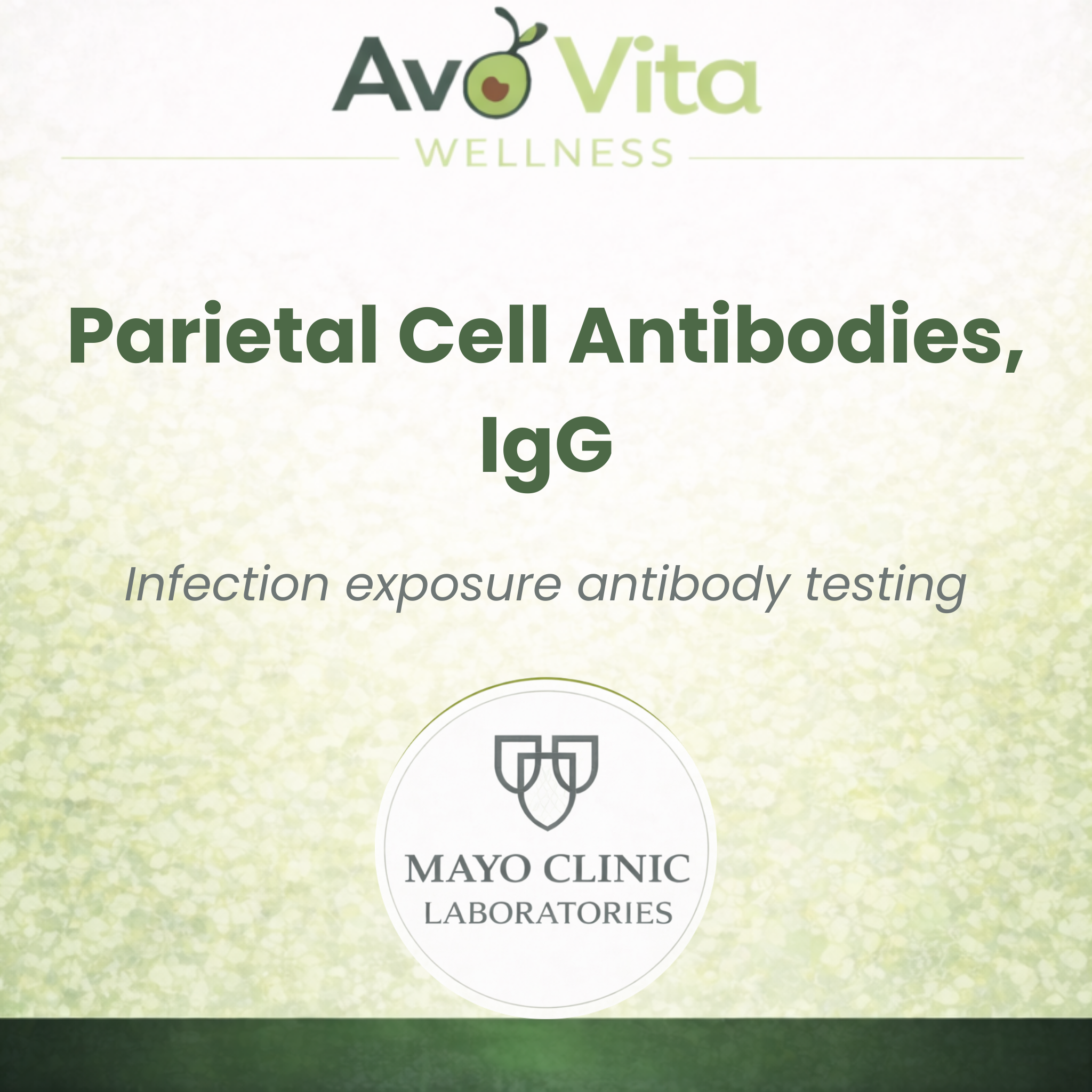 Parietal Cell Antibodies, IgG