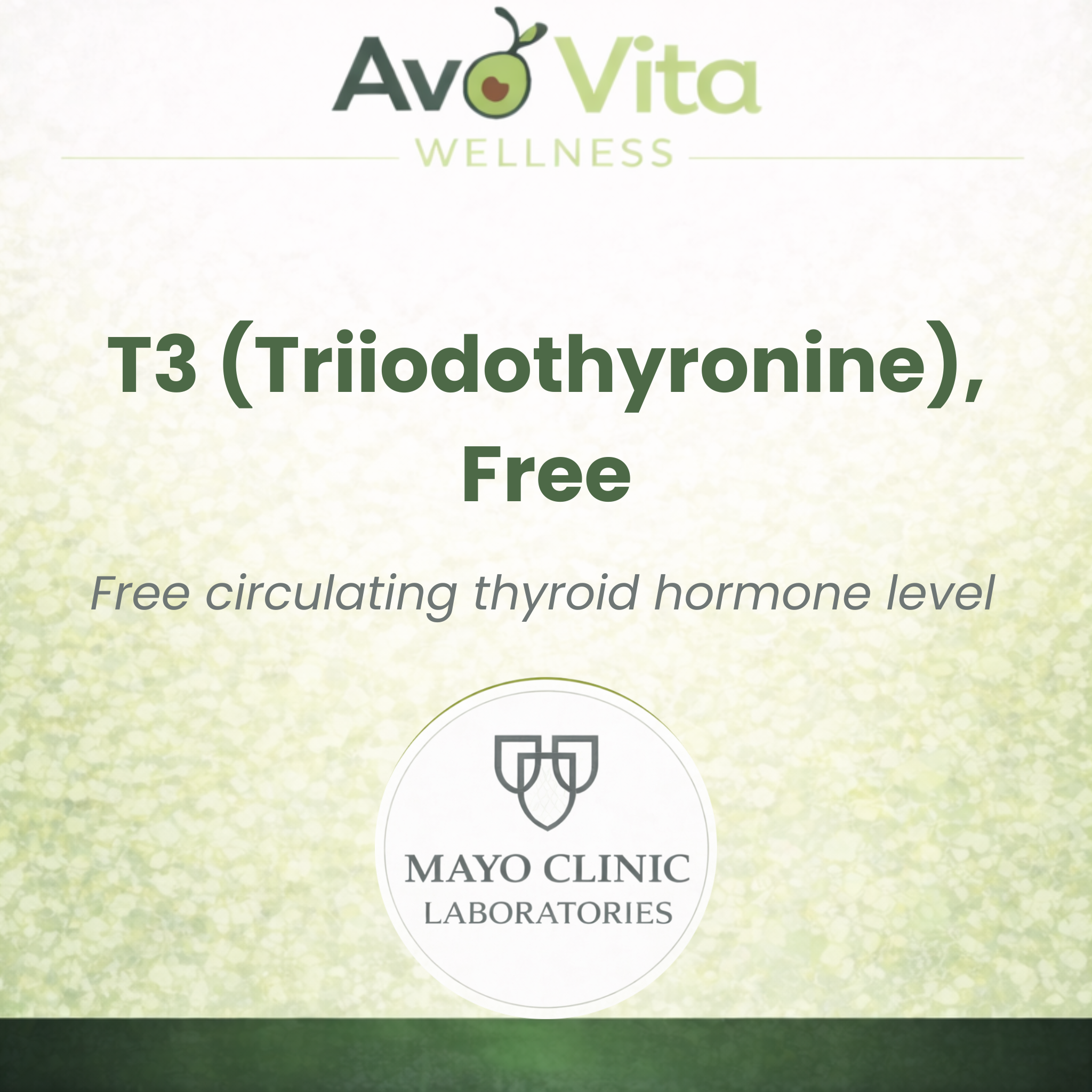 Free T3 (Triiodothyronine)