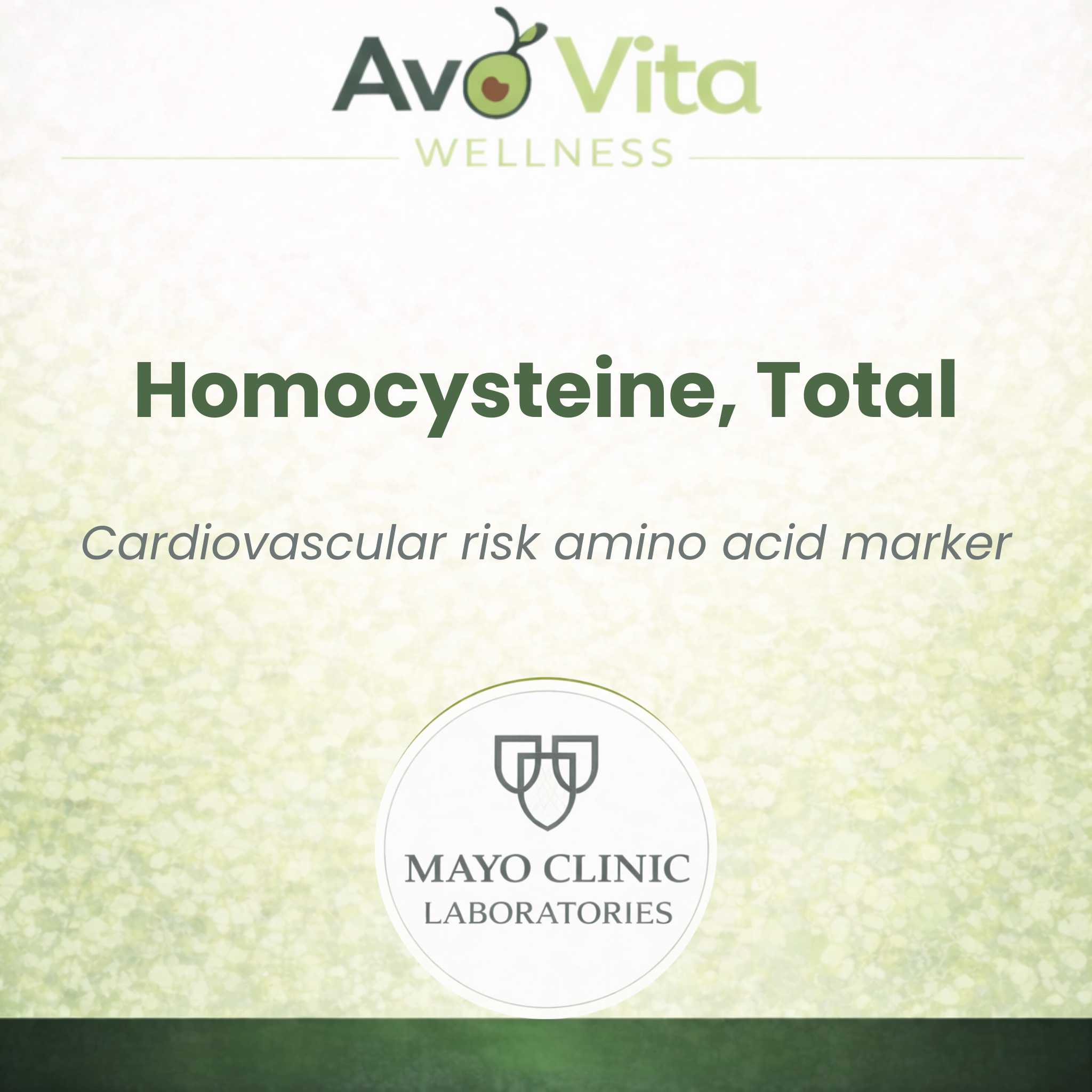 Homocysteine, Total