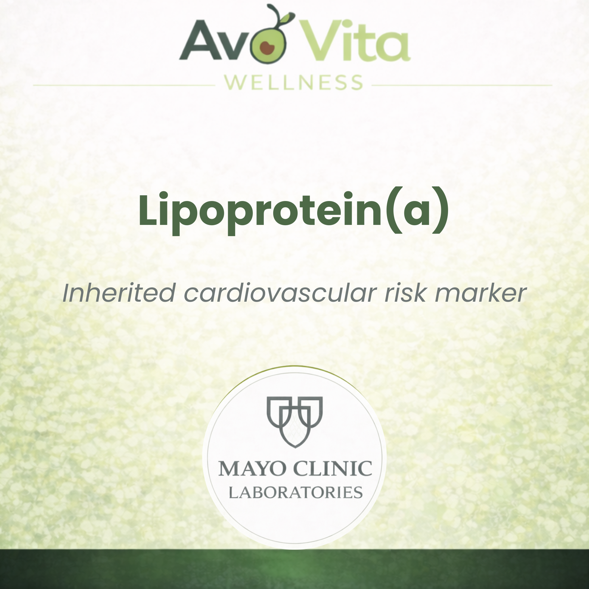 Lipoprotein(a)