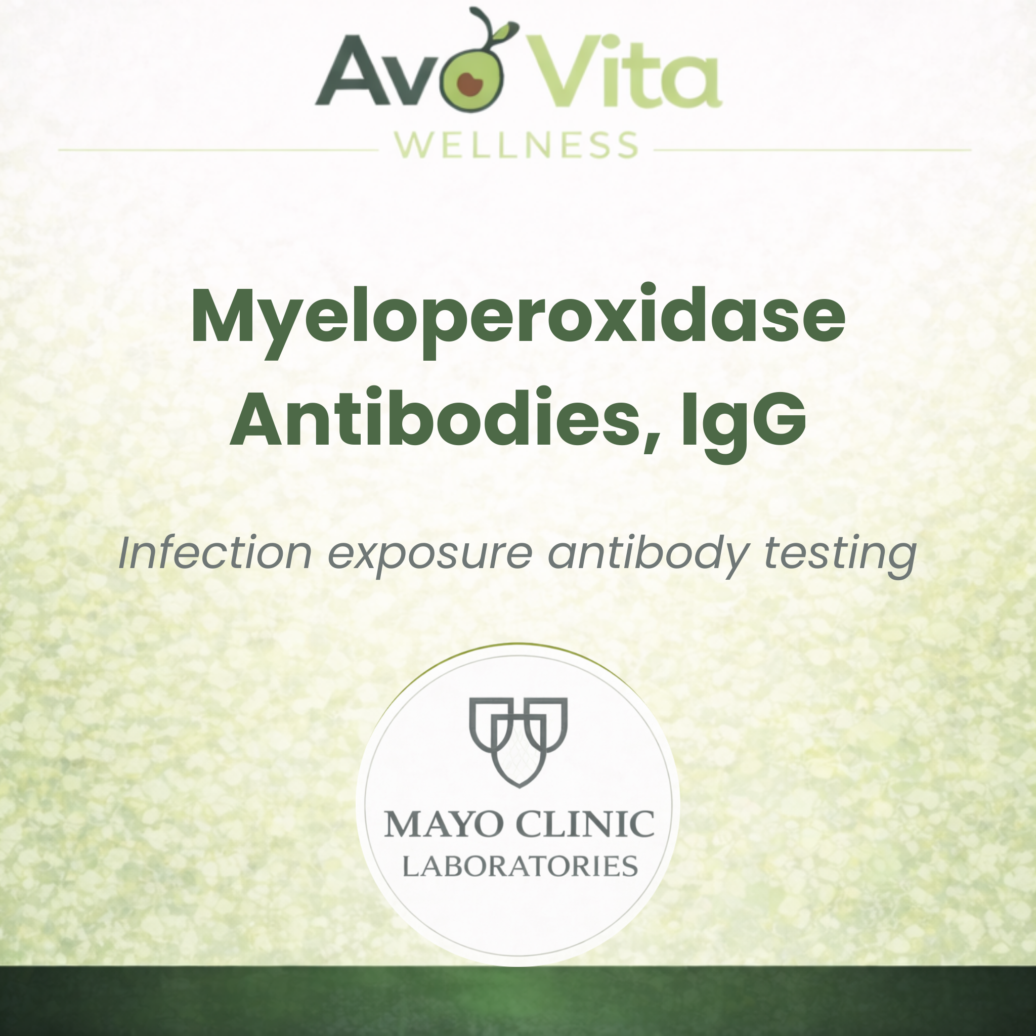 Myeloperoxidase Antibodies, IgG