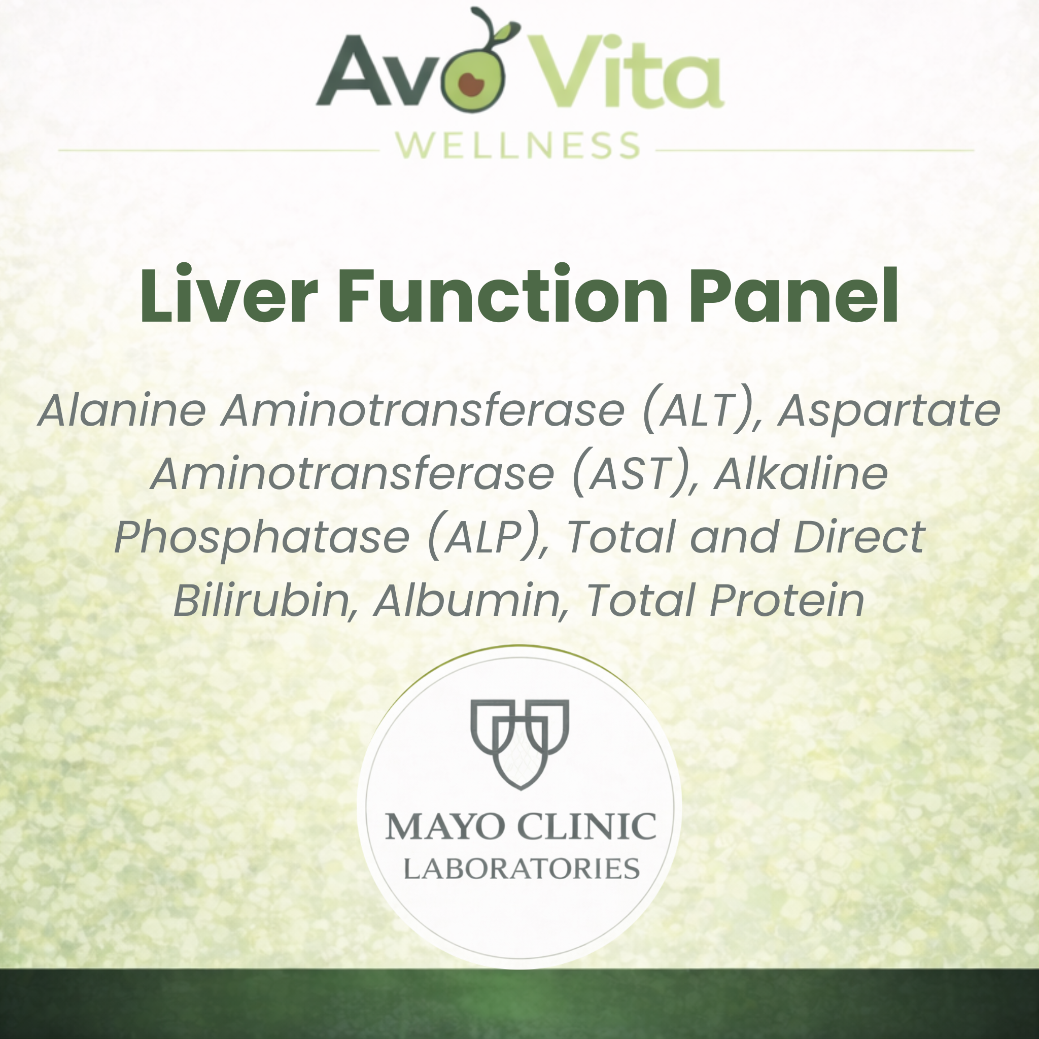 Liver Function Panel