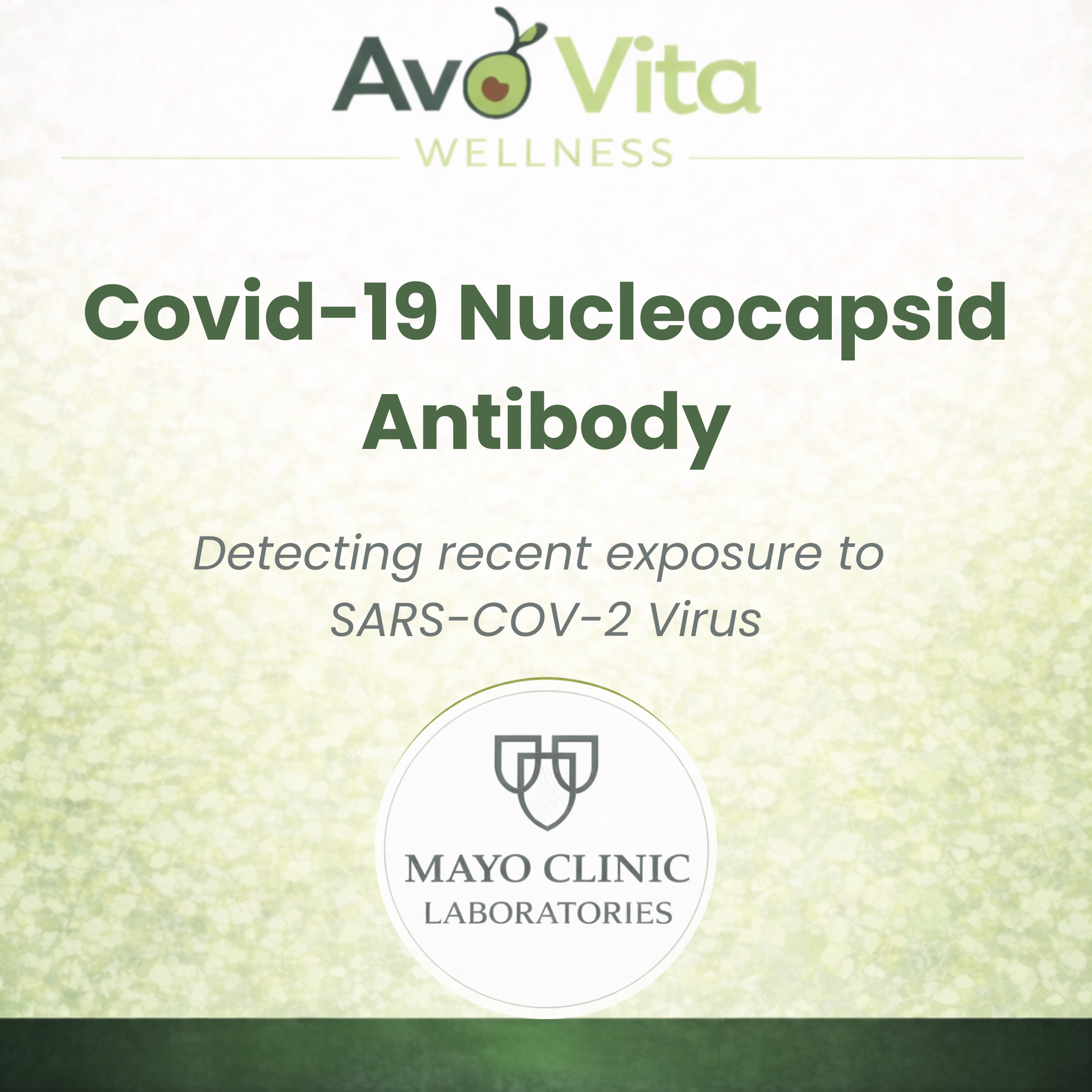 Covid 19 (SARS-CoV-2), Nucleocapsid, Total Antibody